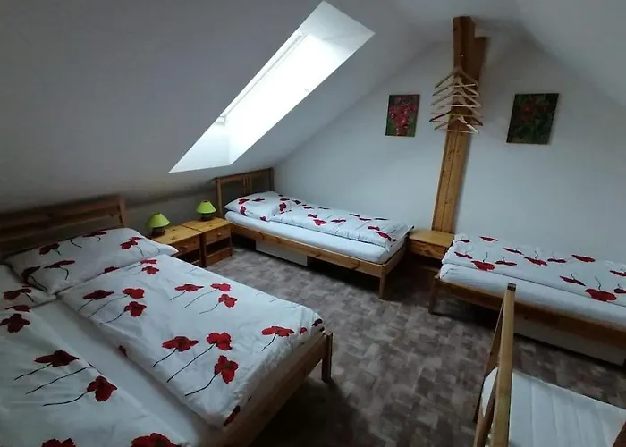 Apartament Hastrman *